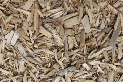 biomass boilers Aukside